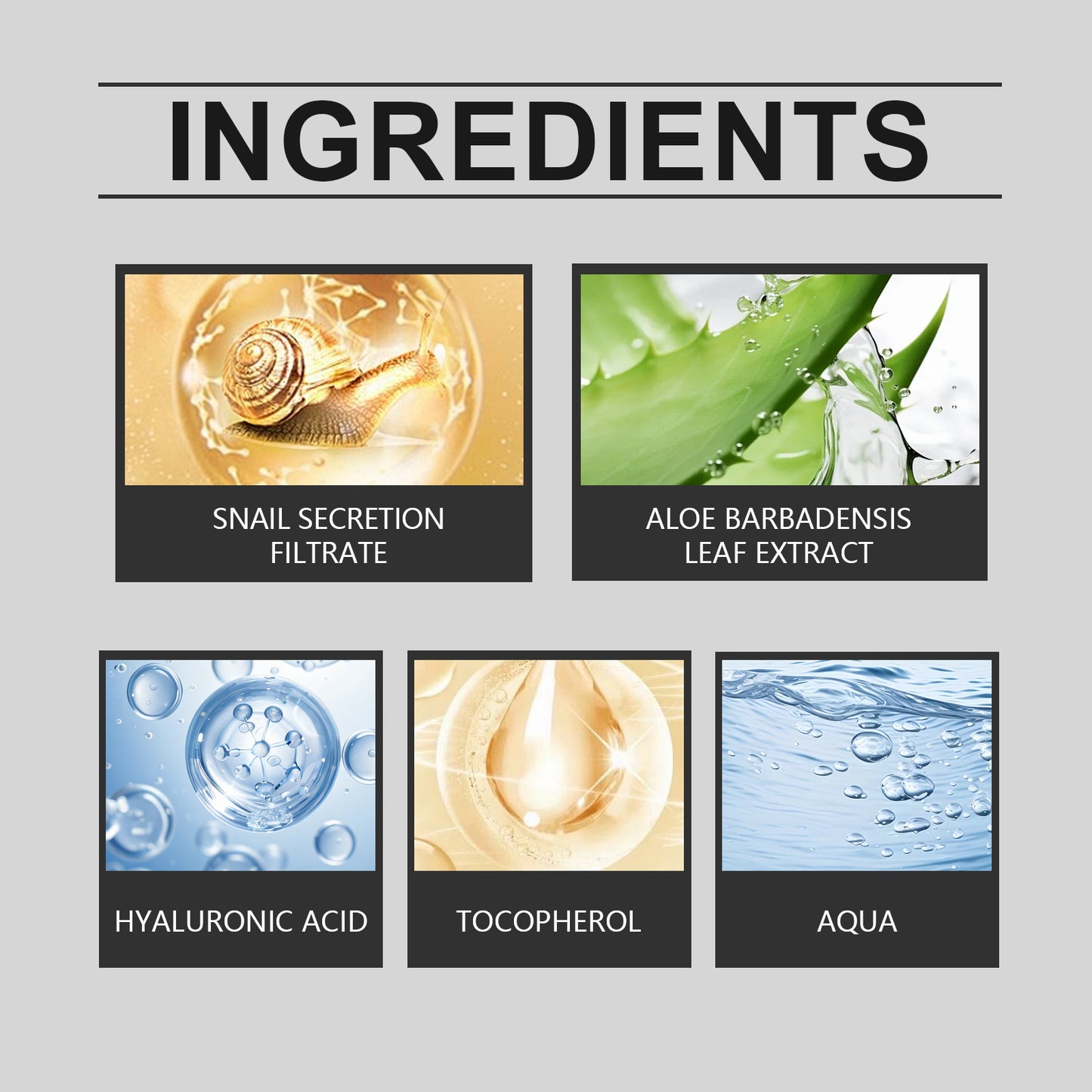 Snail Moisturizing Cream Hydrates And Moisturizes Facial Skin With Snail Nourishing And Firming Moisturizing Cream