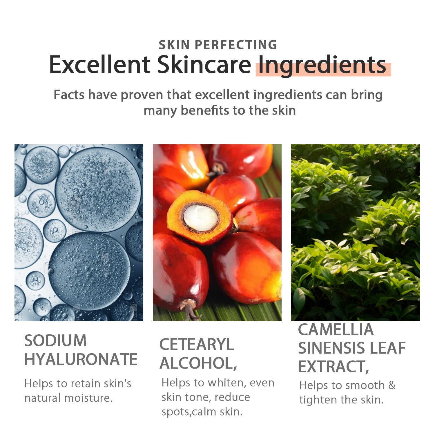 Daily Moisturizing Day Cream